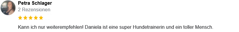 Screenshot 2023-11-04 at 10-30-41 Hundetraining GL&Uuml;CK-liche Pfoten - Google Suche