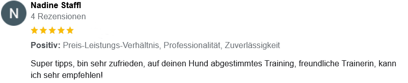 Screenshot 2023-11-04 at 10-33-29 Hundetraining GL&Uuml;CK-liche Pfoten - Google Suche