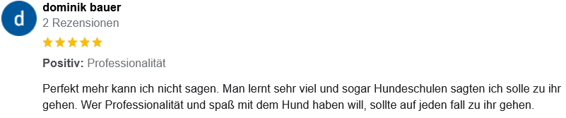 Screenshot 2023-11-04 at 11-33-47 Hundetraining GL&Uuml;CK-liche Pfoten - Google Suche