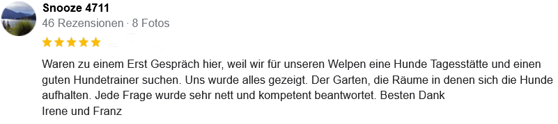 Screenshot 2023-11-04 at 11-37-02 Hundetraining GL&Uuml;CK-liche Pfoten - Google Suche